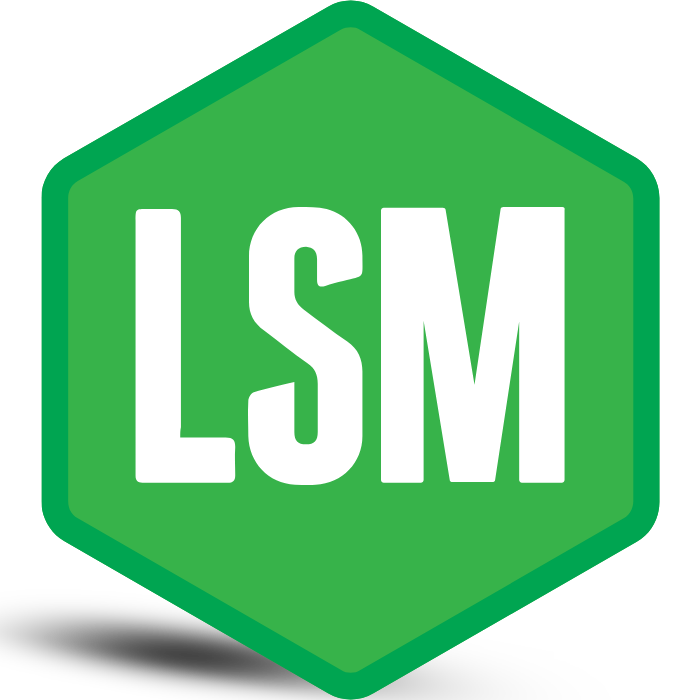 logo-LSM (1)